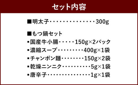 あごだし明太子 300g もつ鍋セット(みそ味) 3～4人前 めんたいこ モツ 味噌