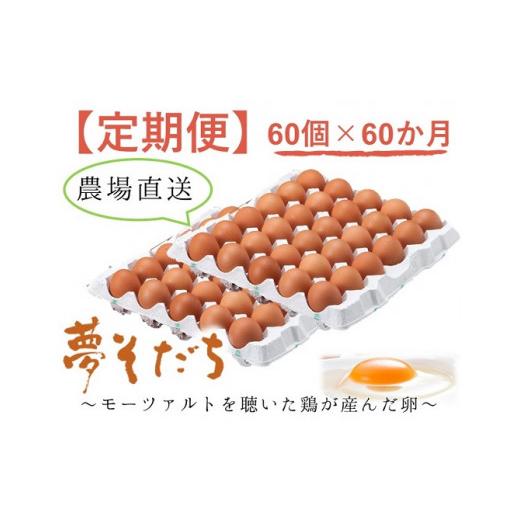 ふるさと納税 兵庫県 たつの市 A-7 夢そだち卵60個×60か月定期