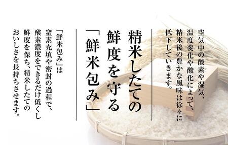 雪温精法　新潟県産つきあかり　2kg×2袋