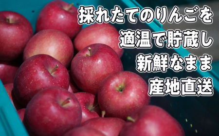 旬の家庭用リンゴ詰め合わせ 約10kg糖度13度以上