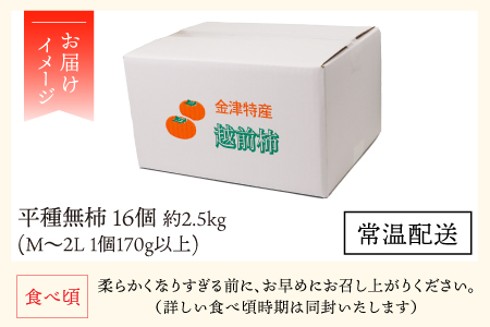 越前柿 16個入 約2.5kg（M～2L）≪JA受賞歴親子２代≫ ／ 果物 フルーツ 柿 産地直送 期間限定 あわら ※2024年11月上旬より順次発送