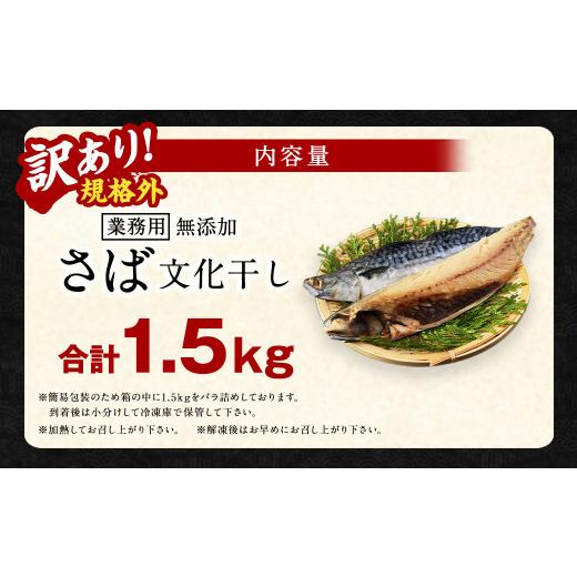 ふるさと納税 茨城県 神栖市  業務用 無添加さば文化干し 1.5kg 鯖 さば 干物 魚