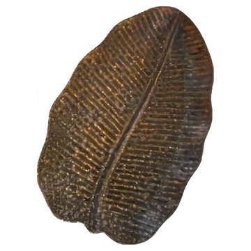 佐和陶瓷 熔岩葉形12長皿 日本製陶瓷餐盤 - 長33 x 寬21 x 高2.5cm  1個