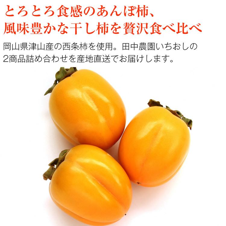 あんぽ柿 干し柿 詰め合わせ ギフト 500g以上 8個入り(4個×2種) 岡山県産 産地直送 西条柿 贈答用 柿 干柿 産直 冷凍便 同梱不可 指定日不可