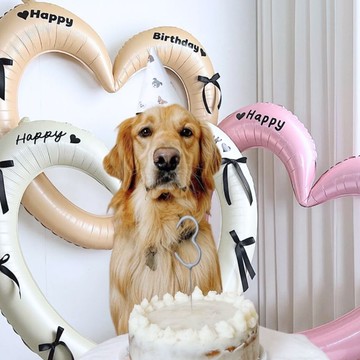 🐕‍🦺 隔日到貨 🐈‍⬛ 寵物慶生佈置  愛心 縷空愛心氣球 拍照道具 生日道具 愛心氣球 狗狗生日 貓咪生日 寵物氣球