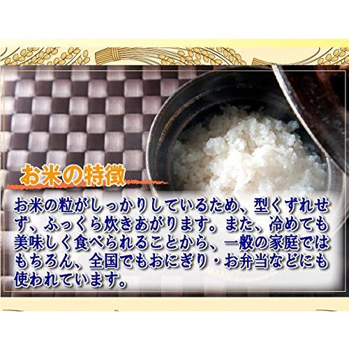  山形県 はえぬき 命仁 一等米 3分づき 10kg （5kg×2袋） 有機質肥料使用 令和4年産米 当日精米