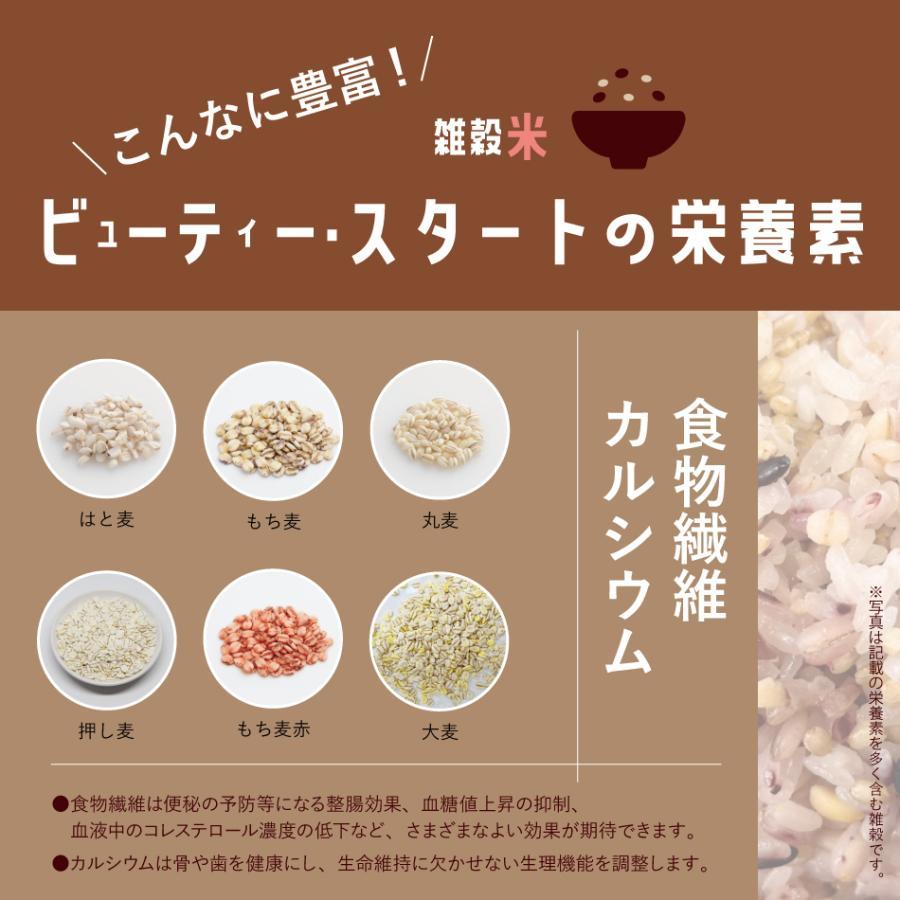 ＼雑穀米ビューティースタート／300g×２袋 国産 雑穀 雑穀米 300g 送料無料  国産十八雑穀米 チャック 袋 話題 もち麦 発芽玄米