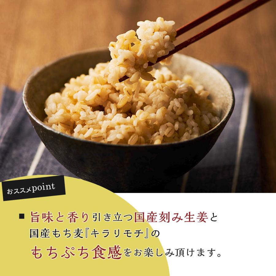 ご飯パック 生姜プラスもち麦 18個セット (160g×18) お米 ごはん おくさま印 レンジで簡単 温めるだけ レトルト ギフト お中元 お歳暮 還暦 お年賀 送料無料