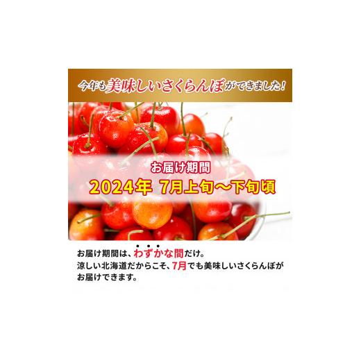 ふるさと納税 北海道 仁木町 先行予約 北海道 仁木町産 さくらんぼ L サイズ600g　300g×2 仁木ファーム 果実 フルーツ 名産地