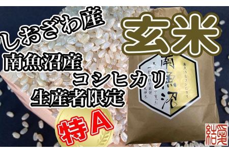 玄米 南魚沼しおざわ産コシヒカリ4Kg×3ヶ月