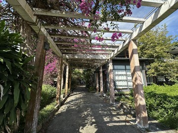 吉安知卡宣鄉村甲建稀有平房庭園農舍｜花蓮縣吉安鄉光華一街