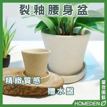 【隔日到貨】裂釉腰身花盆  2｜3吋盆 裂釉圓盆 陶瓷 花盆 花器 多肉花盆 仙人掌花盆 盆栽【HOMEDEN霍登園藝】