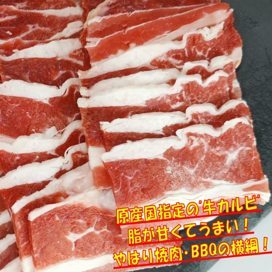 肉 バーベキュー 食材 牛肉 焼肉セット バーベキュー 肉 味付け ハラミ BBQ 肉 バラ カルビ バーベキューセット 食材 焼肉 BBQ 食材 1kg 4〜6人前