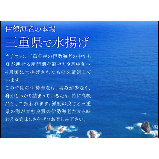 松阪牛 伊勢海老 詰合せ 美し国 三重 伊勢路 −慶−ギフト パッケージ Ａ５ランク厳選 松阪牛 赤身 すき焼き 肉 ３８０ｇ 三重県産 伊勢海老 ２尾で４００ｇ