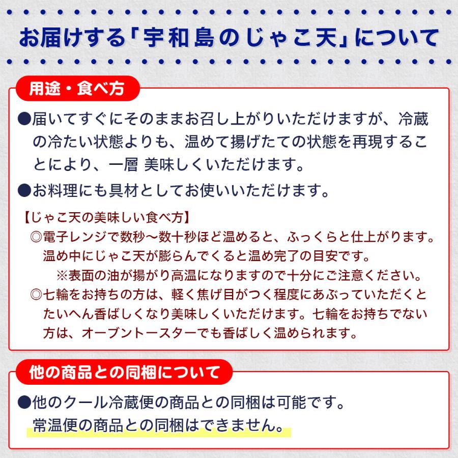  特上 手造りじゃこ天 10枚入り