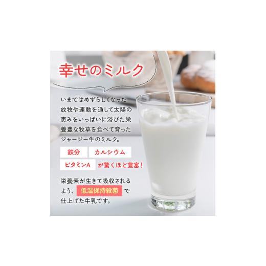 ふるさと納税 秋田県 にかほ市 900ml×3本 12ヶ月 幸せのミルク(ジャージー牛乳）