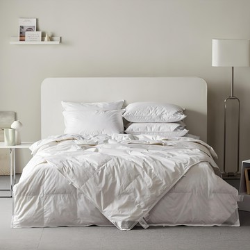 BOUNTIFUL Hotel 2合1組合式鵝絨被芯 300g + 800g  白色  SS 150 x 210cm