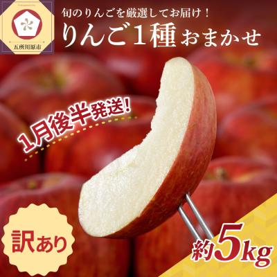 ふるさと納税 五所川原市   りんご 青森産 約5kg 品種おまかせ1種