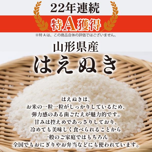 選べる精米方法 ＜白米はたは無洗米＞ 令和5年産 はえぬき30kg（5kg×6袋）山形県 最上地域産 《 送料無料 》