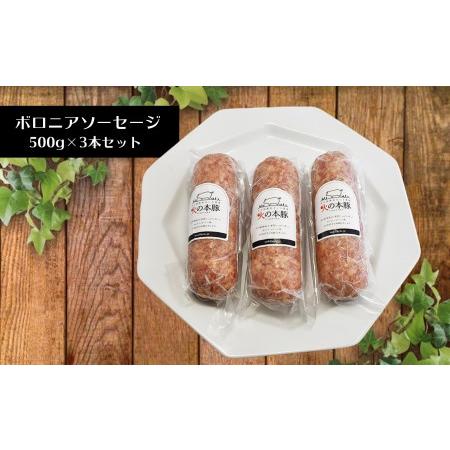 ふるさと納税 火の本豚 ボロニアソーセージ（500ｇ×6本セット） 熊本県和水町