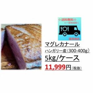 鴨ロース　鴨肉　マグレドカナール　約5？　鴨胸肉 300-400g　業務用特価　フォアグラ採取鴨　鴨胸　ハンガリー産