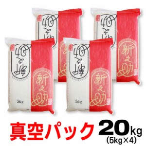 米 令和5年産 真空パック 新潟産 新之助 20ｋｇ （5ｋｇ×4） 北海道～九州は送料無料（沖縄2,000円）