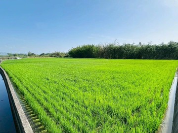 中興交流道新訂都市計畫案-城二之三-區段徵收寶地｜南投縣南投市內興段