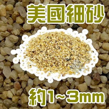 美國細沙 美國細砂 魚缸底砂 魚缸底沙 水族沙 水族砂 造景底砂 造景底沙 濾材 園藝 石頭 1kg