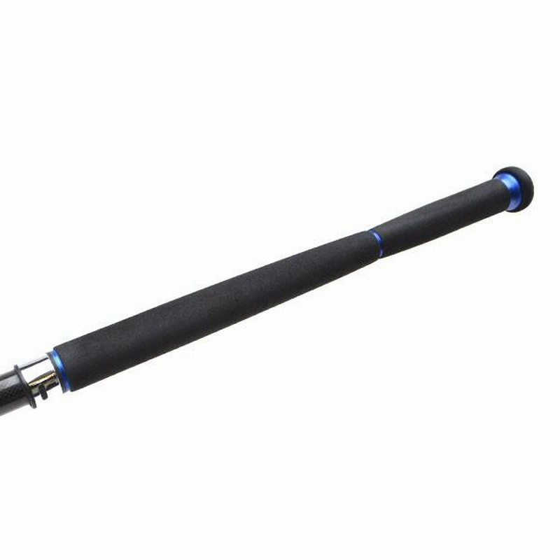 DAIWA（釣り） ダイワ ソルティガ コースタル ヒラマサ 56HS