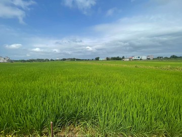 107新屋近市區前後路方正美農地｜桃園市新屋區新屋段後湖小段