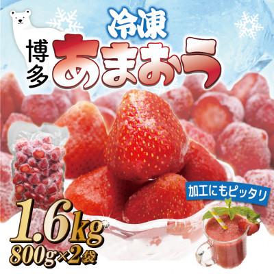 ふるさと納税 岡垣町 福岡県産冷凍あまおう1.6kg(800g×2袋)(岡垣町)