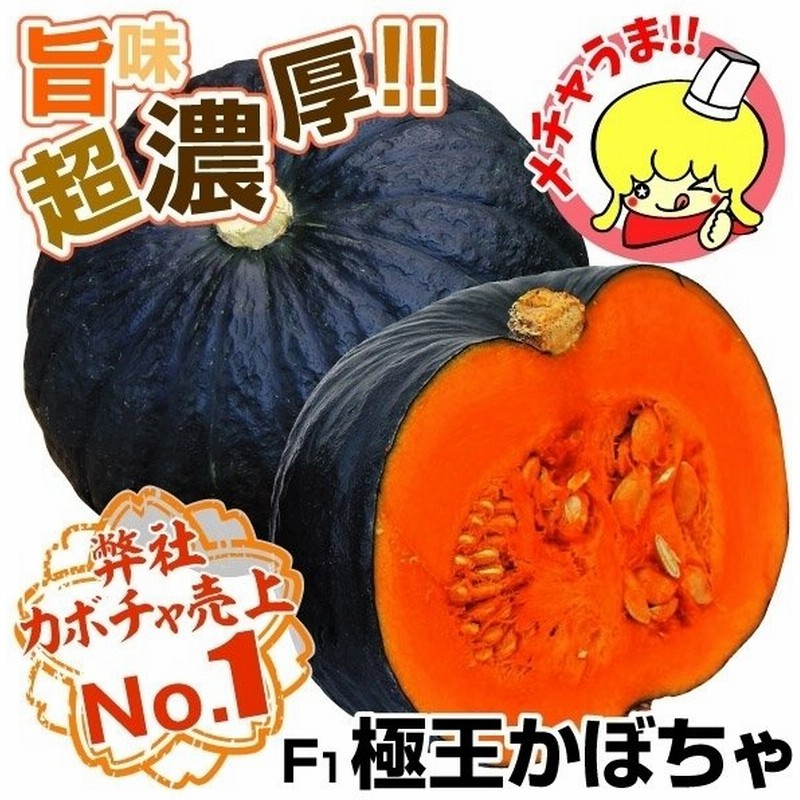 種 野菜たね カボチャ F1極王かぼちゃ 1袋 10粒 野菜のタネ 野菜 種子 南瓜 かぼちゃ なんきん Ytc125 国華園 通販 Lineポイント最大0 5 Get Lineショッピング