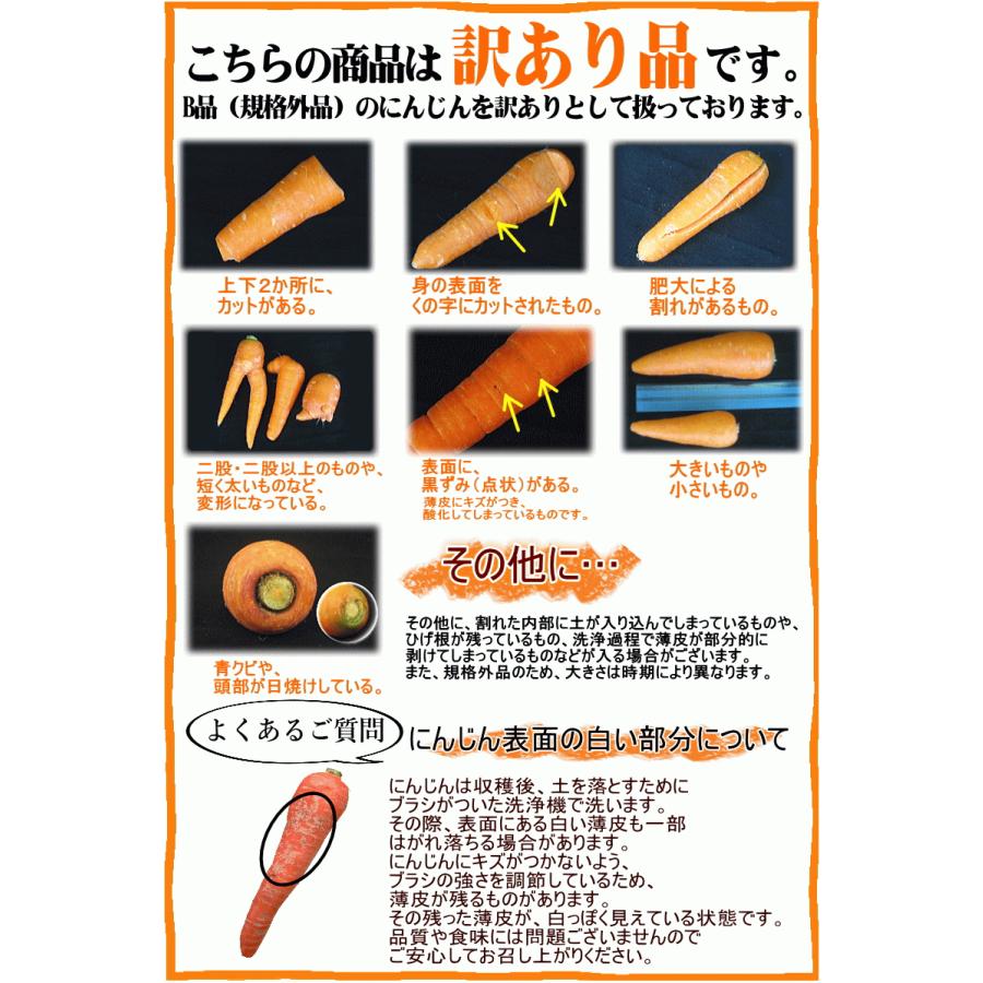 無農薬人参 ジュース用に最適 定期購入 産地が選べる無農薬にんじんＢ品５キロ×3回 計15キロ 訳あり 送料無料