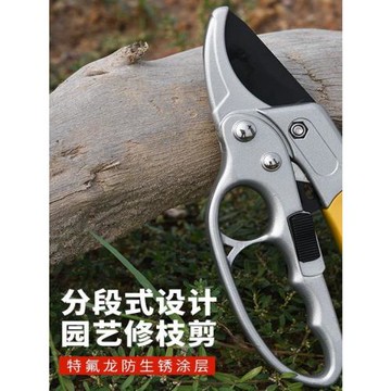 省力果樹修枝剪刀分段式專業園藝修剪樹枝園林修花枝剪粗枝剪子