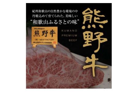 特選黒毛和牛 熊野牛 赤身ステーキ約600g