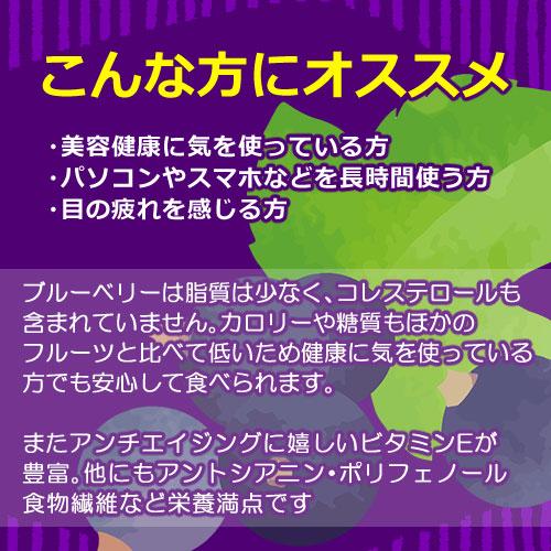 ブルーベリー 600g ドライフルーツ 江戸屋 ダイエット食品 健康