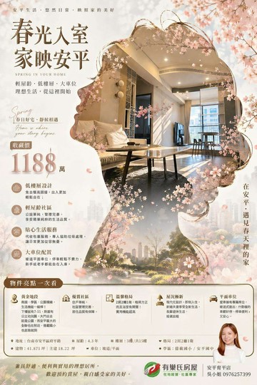 一卡皮箱入住|安平質感2房  +平面車位｜台南市安平區府平路