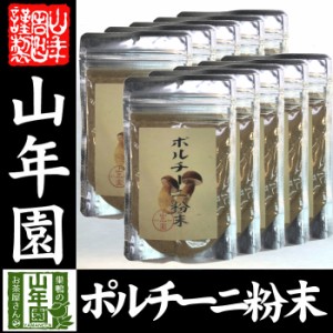  ポルチーニ茸の粉末 40g×10袋セット 無農薬で栽培されたポルチーニ茸を温風乾燥させて粉末に 健康 送料無