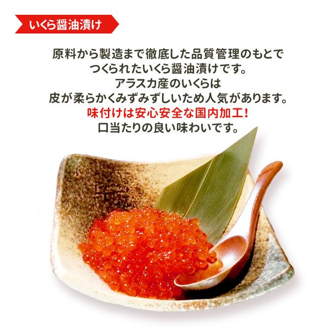 いくら 醤油漬け アラスカ 200g トロサーモン 半身 約800g 送料無料 福袋 ギフト 海鮮セット 海鮮おせち