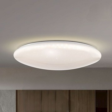 96W 單色吸頂燈 L01-2673B