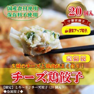 『定期便』宇都宮餃子　チーズ鶏餃子20個　保存料不使用　全12回