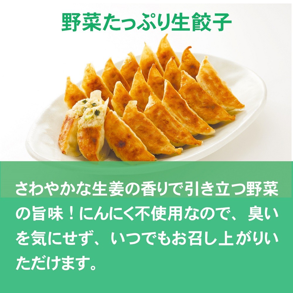 餃子 野菜たっぷり生餃子 100個(20個入×5袋) ／ 送料込み（沖縄別途送料） にんにく不使用 野菜の旨味!  餃子工房 ロン みまつ食品