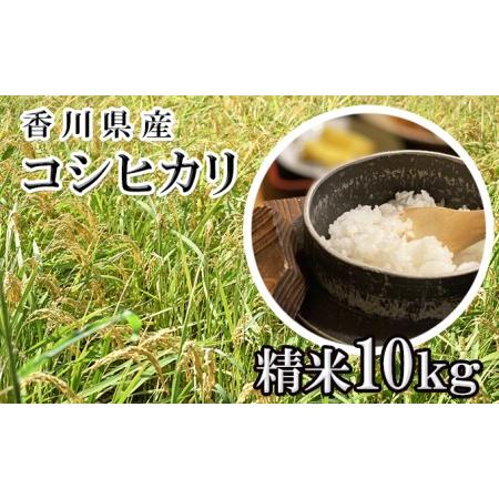 ふるさと納税 はなまる農園令和5年新米香川県産「コシヒカリ（精米）10kg」白米 香川県東かがわ市