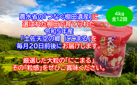 ★令和5年産★2010年・2016年 お米日本一コンテスト inしずおか 特別最高金賞受賞 土佐天空の郷　にこまる　4kg　毎月お届け全12回