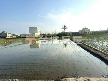 專任大安區安地段1.1甲黃金角地 3300｜台中市大安區安地段段