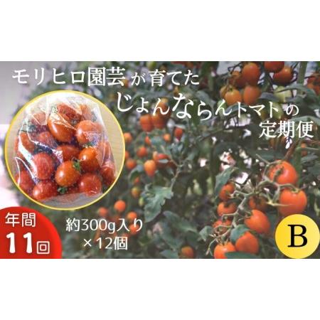 ふるさと納税 モリヒロ園芸が育てたじょんならんトマトの定期便B　約300g×12個入り（年間11回） 香川県観音寺市