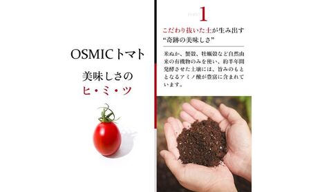 OSMIC トマト トマトグランプリ優勝 mini Premium 500g ミニトマト