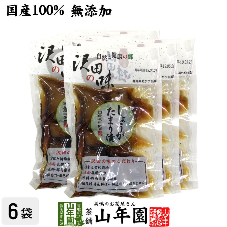 沢田の味 しょうが たまり漬 100g×6袋セット 送料無料