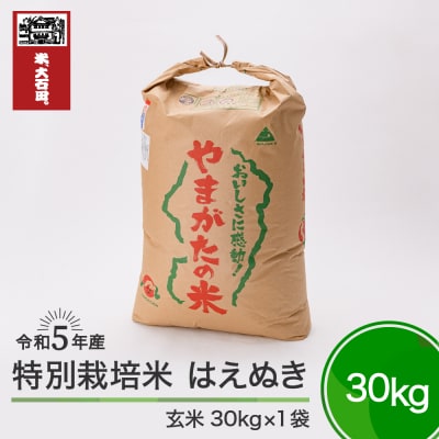 令和5年産 新米 はえぬき 30kg 山形県大石田町産 特別栽培米 玄米