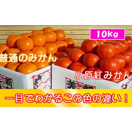 ふるさと納税 香川県のオリジナル品種 小原紅早生みかん約5kg×2箱 香川県宇多津町